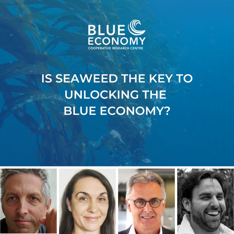 Blue Economy CRC Webinar on Marine Permaculture and other seaweed / kelp forest interventions