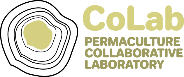 COLAB-LOGO-COLOR-H