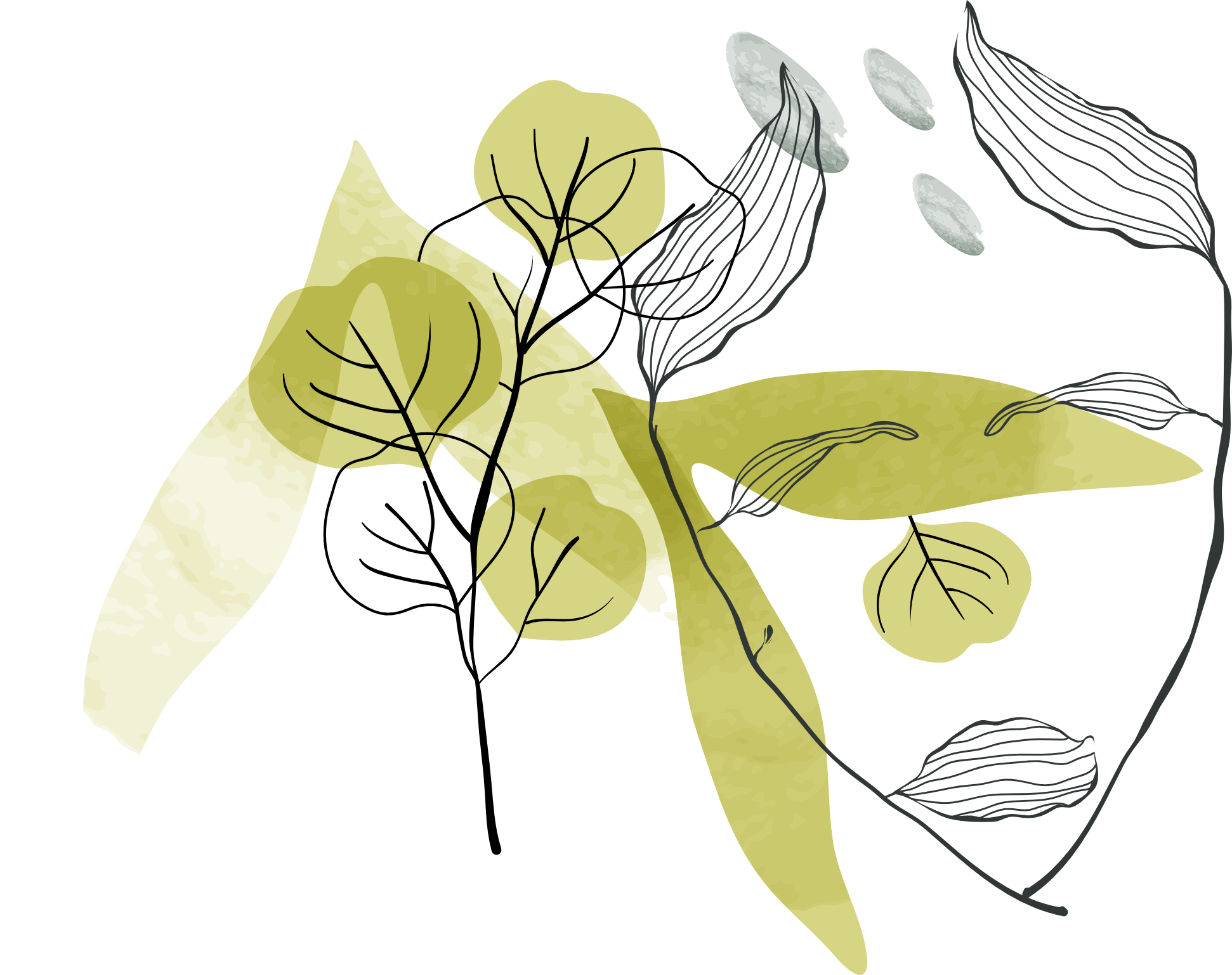 ILUSTRA-01-1-HOME