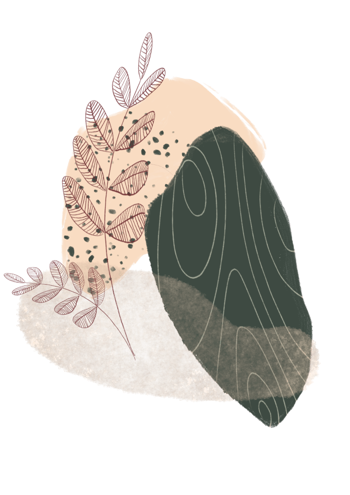 ILUSTRA-11-HOME