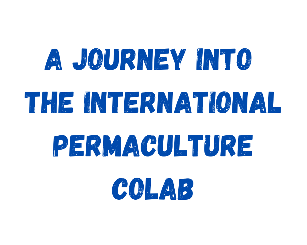 Your Journey into the International Permaculture CoLab(2)
