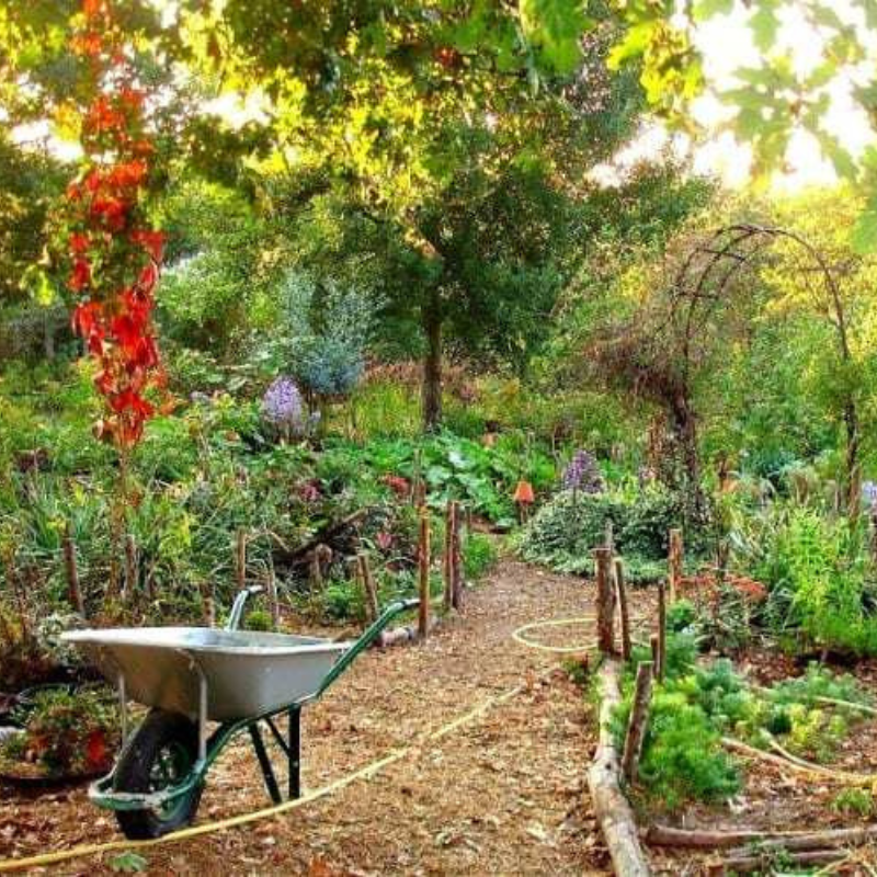 Picture of I am from a permaculture project | International Permaculture ...